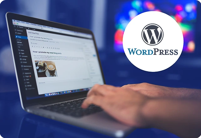 Wordpress Ecommerce